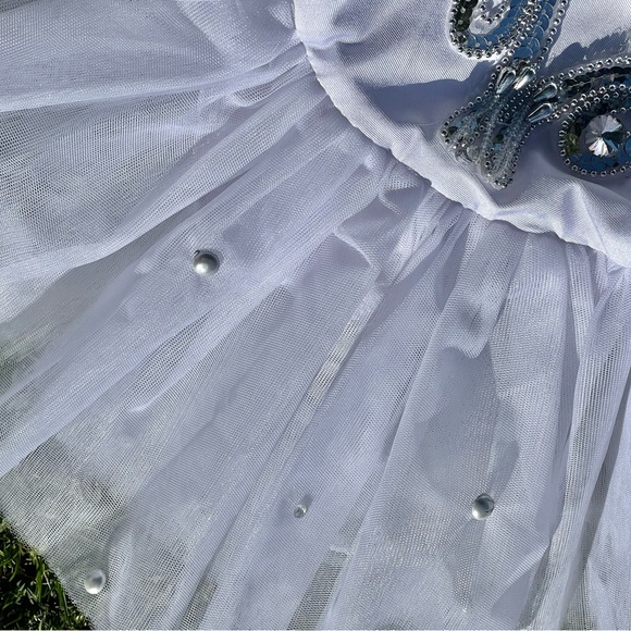 Girls Handmade Ballerina Costume - Picture 9 of 11